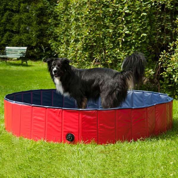 PROCYON Hundepool - 80 cm PROCYON Hundepool - 80 cm von PROCYON