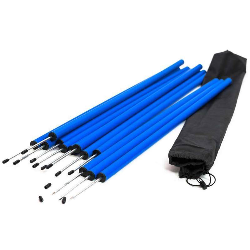 PROCYON Slalom-Set für Einsteiger PROCYON Slalom-Set für Einsteiger von PROCYON