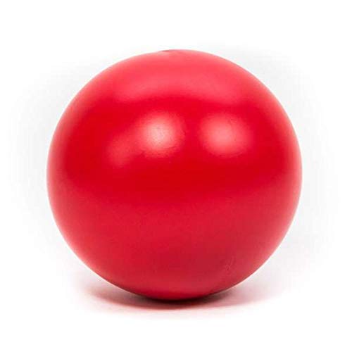 PROCYON Treibball von Jlwiy