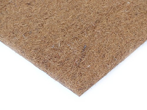 proflora 4 x Kokosfaser Rückwand Terrarium je 40 x 40 cm Kokosmodul natur Dekoration Terrarium von PROFLORA