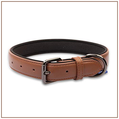 PROFTI Lederhalsband für Hunde, Echtleder mit Schaumstoffpolsterung, Braun PROFTI Lederhalsband für Hunde, Echtleder mit Schaumstoffpolsterung, Braun von PROFTI