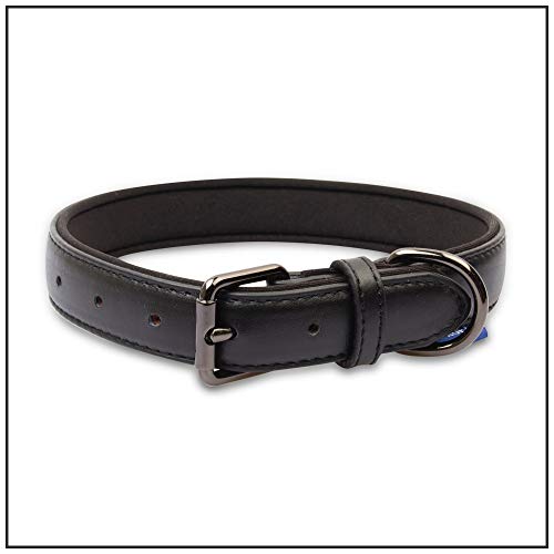 PROFTI Lederhalsband für Hunde, Echtleder mit Schaumstoffpolsterung, Schwarz PROFTI Lederhalsband für Hunde, Echtleder mit Schaumstoffpolsterung, Schwarz von PROFTI