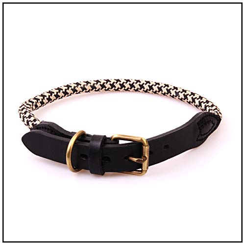 PROFTI Lederhalsband für Hunde, mit Nylon, weiches Leder, belastbar, robust (36-44cm Halsumfang, Schwarz/Beige) von PROFTI