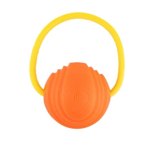 Project Hive Großer Hundeball mit Schlaufe, interaktives Spielzeug, kompatibel mit Hive Zoomer Hundeballwerfer, perfekt zum Apportieren und Zerren, Orange Project Hive Großer Hundeball mit Schlaufe, interaktives Spielzeug, kompatibel mit Hive Zoomer Hundeballwerfer, perfekt zum Apportieren und Zerren, Orange von PROJECT HIVE ·PET COMPANY·