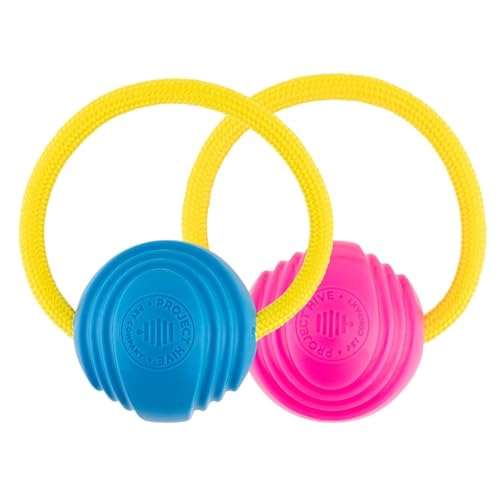 Project Hive Interaktives Hundespielzeug, Set mit 2 Bällen, kompatibel mit Hive Zoomer Hundeballwerfer, perfekt zum Apportieren und Zerren, Rosa und Blau Project Hive Interaktives Hundespielzeug, Set mit 2 Bällen, kompatibel mit Hive Zoomer Hundeballwerfer, perfekt zum Apportieren und Zerren, Rosa und Blau von PROJECT HIVE ·PET COMPANY·