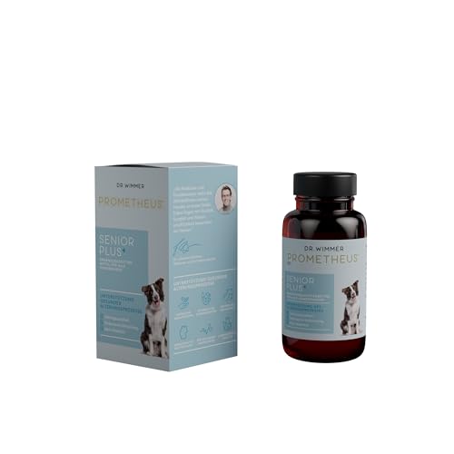 PROMETHEUS by Dr. Wimmer Senior Plus - Kurkuma, Ginkgo Biloba, Omega-3 für Herz, Gehirn, Beweglichkeit - Vitamine für alternde Hunde von PROMETHEUS