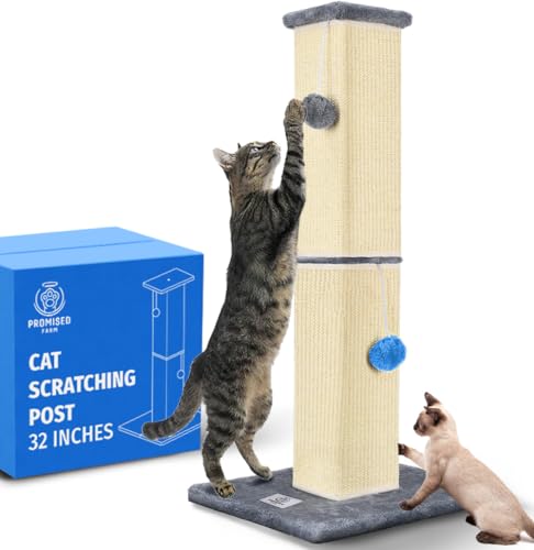 PROMISED FARM Kratzbaum für Katzen, hoch, 81,3 cm, schützt Möbel, langlebiges und stabiles Design, ästhetisches Katzenzubehör Essentials PROMISED FARM Kratzbaum für Katzen, hoch, 81,3 cm, schützt Möbel, langlebiges und stabiles Design, ästhetisches Katzenzubehör Essentials von PROMISED FARM