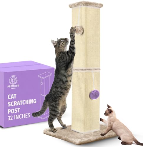 PROMISED FARM Kratzbaum für Katzen, hoch, 81,3 cm, schützt Möbel, langlebiges und stabiles Design, ästhetisches Katzenzubehör Essentials PROMISED FARM Kratzbaum für Katzen, hoch, 81,3 cm, schützt Möbel, langlebiges und stabiles Design, ästhetisches Katzenzubehör Essentials von PROMISED FARM