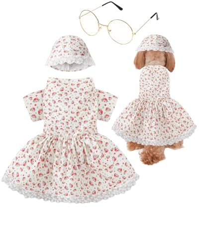 Halloween-Kostüm für alte Dame, Größe XL von PROMOTED TO BIG SISTER