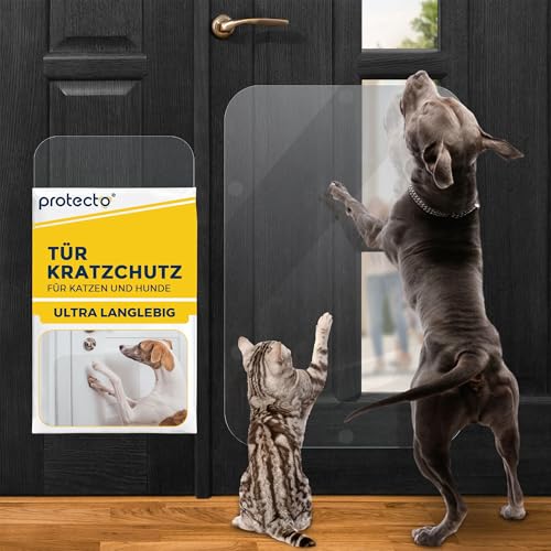 PROTECTO Tür Kratzschutz für Hund - 75x50 cm Katzen Kratzschutz, Kratzfester Katzenschutz, Transparente Anti Kratz Folie für Katzen, Tür Kratzschutz Katze - Einfache Installation mit Klebepads von PROTECTO