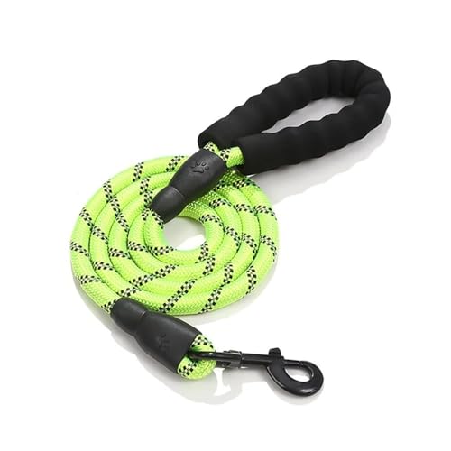 Trainingsleine for Hunde, Trainingsseil, Starke Hundeleine, Haustierleinen, reflektierende Leine for kleine, mittelgroße und große Hundeleine, Drag Pull Tow, Golden Retriever Hundeleine(Green,200CM) Trainingsleine for Hunde, Trainingsseil, Starke Hundeleine, Haustierleinen, reflektierende Leine for kleine, mittelgroße und große Hundeleine, Drag Pull Tow, Golden Retriever Hundeleine(Green,200CM) von PRPRP