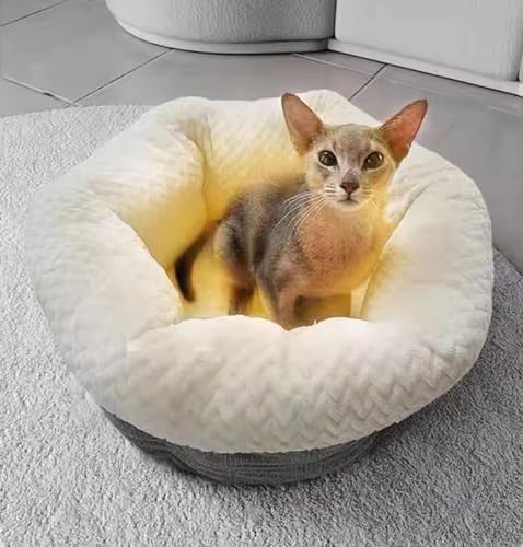 Beheizbare Katzenhäuser für Katzen im Innen- und Außenbereich mit Heizkissen, abnehmbares beheiztes Katzenhaus, 50 x 50 x 25 cm Beheizbare Katzenhäuser für Katzen im Innen- und Außenbereich mit Heizkissen, abnehmbares beheiztes Katzenhaus, 50 x 50 x 25 cm von PRUJOY