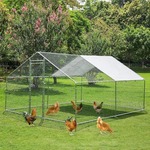 PRUJOY Begehbarer Hühnerstall, großer Hühnerstall im Freien mit wasserdichter und sonnenbeständiger Abdeckung, Metall-Hühnerstall für Hühner PRUJOY Begehbarer Hühnerstall, großer Hühnerstall im Freien mit wasserdichter und sonnenbeständiger Abdeckung, Metall-Hühnerstall für Hühner von PRUJOY