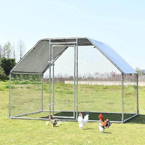 PRUJOY Großer Hühnerstall, begehbarer Hühnerstall, Metall-Hühnerstall mit Wasserdichtigkeit, für den Einsatz im Hinterhof auf dem Bauernhof im Freien für Hühner, Enten und Kaninchen ( 600*300*200cm) PRUJOY Großer Hühnerstall, begehbarer Hühnerstall, Metall-Hühnerstall mit Wasserdichtigkeit, für den Einsatz im Hinterhof auf dem Bauernhof im Freien für Hühner, Enten und Kaninchen ( 600*300*200cm) von PRUJOY