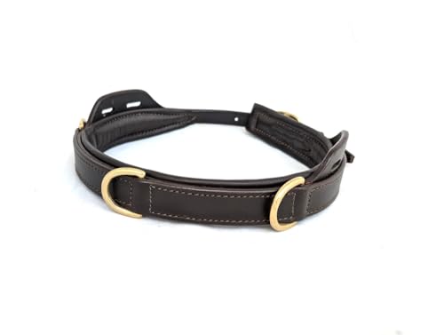 PS Pferdeartikel Semi Kappzaum Calin Leder Nasenteil Cavesson - gepolstert Größe COB - Braun mit goldenem Beschlag PS Pferdeartikel Semi Kappzaum Calin Leder Nasenteil Cavesson - gepolstert Größe COB - Braun mit goldenem Beschlag von PS Pferdeartikel