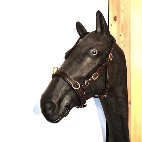 PS Pferdeartikel VARIADO 5-Fach Verstellbarer Leder Kappzaum - Anatomisch weich gepolstertert Größe COB - Schwarz mit silbernem Beschlag von PS Pferdeartikel
