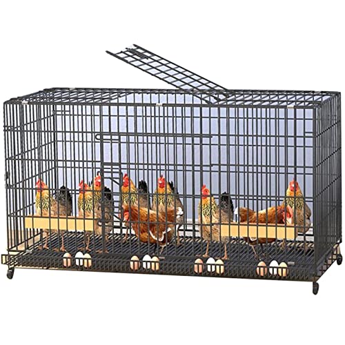 Indoor-Hühnerstall Groß, Outdoor-/Hof-Geflügelkäfig, Hühnerstallhaus Mit Grasnestrollen, Für 3-15 Hühner (Color : Black, S : 120x50x65 cm) von PSHHJP