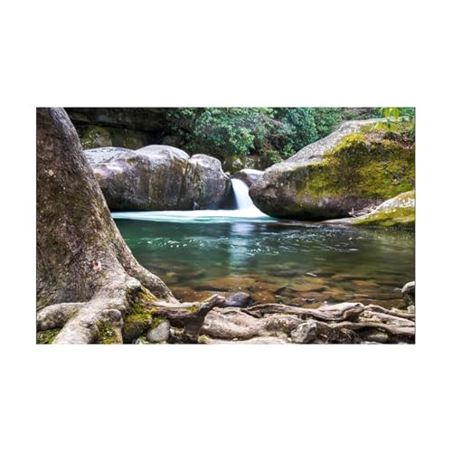 PSNKLMM Aquarium Hintergrund Aufkleber Dekorative Poster Fisch Tank Dekoration Selbst Klebe Tapete Hintergrund(30x40cm) von PSNKLMM