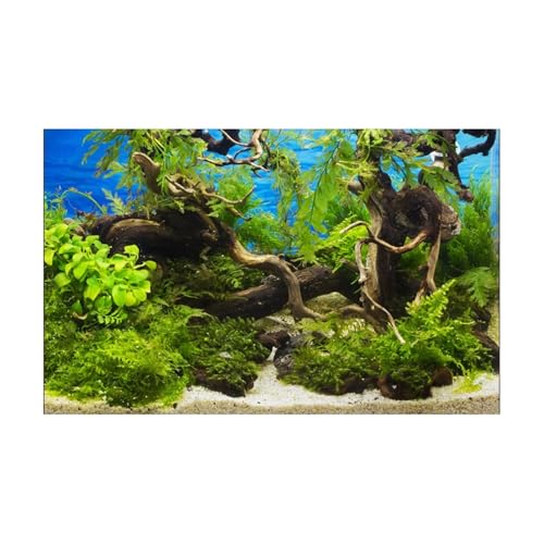 PSNKLMM Aquarium Hintergrund Aufkleber Hintergrund Poster Pflanze Fisch Tank Dekoration Selbstklebende Tapete Hintergrund(50x100cm) von PSNKLMM
