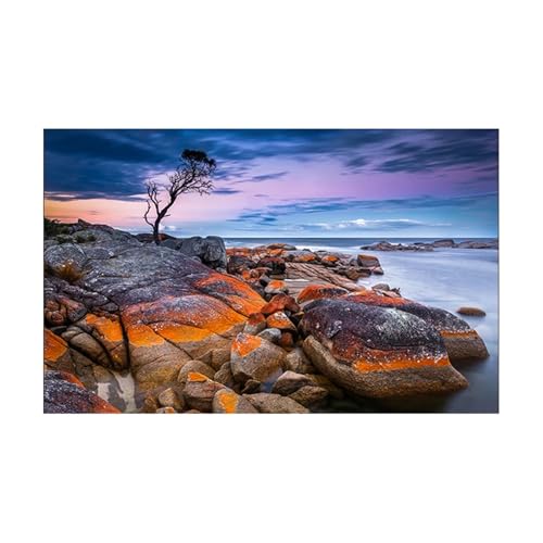PSNKLMM Aquarium Hintergrund Aufkleber Poster Fisch Tank Dekoration Selbstklebende Tapete Hintergrund(40x80cm) von PSNKLMM