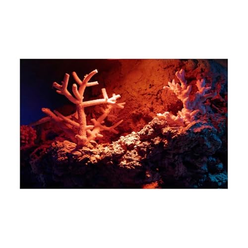 PSNKLMM Aquarium Hintergrund Aufkleber Red Submarine Coral Poster Aquarium Dekoration Selbstklebende Tapete Hintergrund(50x100cm) von PSNKLMM