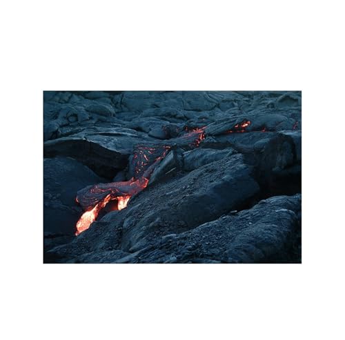 PSNKLMM Aquarium Hintergrund Vulkangestein Schwarze Tapete Aquarium Reptilien Lebensraum Dekorationen PVC(30x60cm) von PSNKLMM