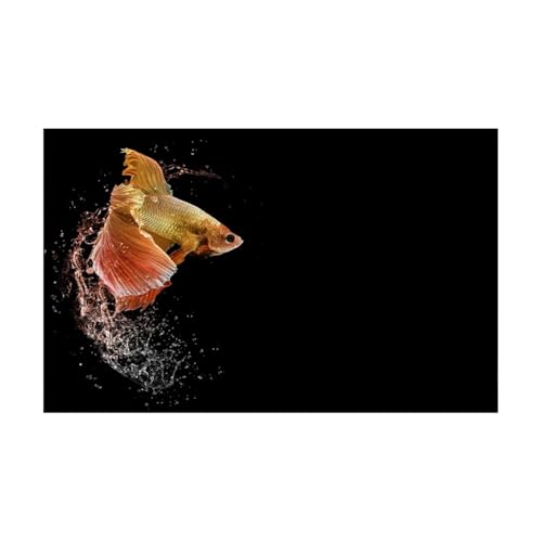 PSNKLMM Aquarium-Hintergrundaufkleber, Fischtank-Dekoration, Selbstklebende Tapete, Hintergrund(40x80cm) von PSNKLMM