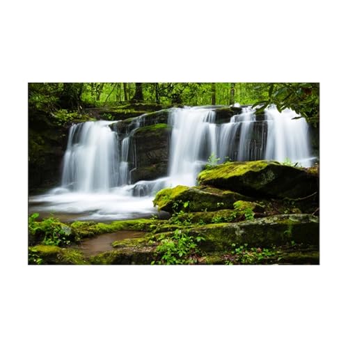 PSNKLMM Aquarium-Hintergrundaufkleber, Landschaftsdekoration, Poster, Fischtank-Dekoration, Selbstklebende Tapete(50x80cm) von PSNKLMM