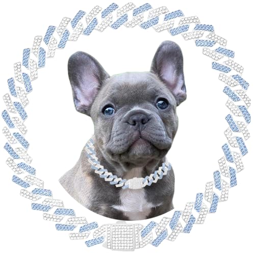 Blaues Hundehalsband, glitzernde Diamanten, kubanische Glieder, Welpenhalsband mit sicherer Schnalle, Metallkette, Halskette, Kristallschmuck, Katzenhalsband für kleine, mittelgroße und große Blaues Hundehalsband, glitzernde Diamanten, kubanische Glieder, Welpenhalsband mit sicherer Schnalle, Metallkette, Halskette, Kristallschmuck, Katzenhalsband für kleine, mittelgroße und große von PSPORT
