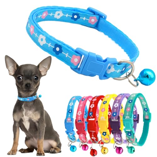 Extra kleines Hundehalsband für Mädchen, weibliches Katzenhalsband mit Glöckchen, Nylon, Welpenhalsband, niedliche Blume, verstellbar, für Kätzchen, kleine XXS, XS, kleine Haustiere Extra kleines Hundehalsband für Mädchen, weibliches Katzenhalsband mit Glöckchen, Nylon, Welpenhalsband, niedliche Blume, verstellbar, für Kätzchen, kleine XXS, XS, kleine Haustiere von PSPORT