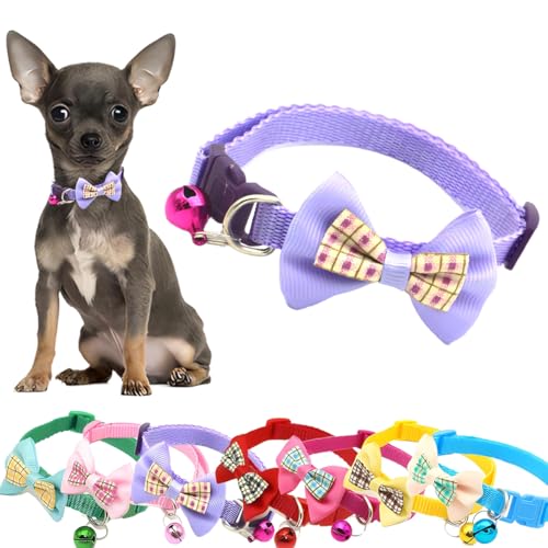 Fliege Katzenhalsband mit Glöckchen, Mädchen, Kätzchen, Glockenhalsband, Nylon, Fliege, weiblich, Welpenhalsband, Kunststoffschnalle, verstellbar, für XXS, XS, kleine Hunde, Violett Fliege Katzenhalsband mit Glöckchen, Mädchen, Kätzchen, Glockenhalsband, Nylon, Fliege, weiblich, Welpenhalsband, Kunststoffschnalle, verstellbar, für XXS, XS, kleine Hunde, Violett von PSPORT