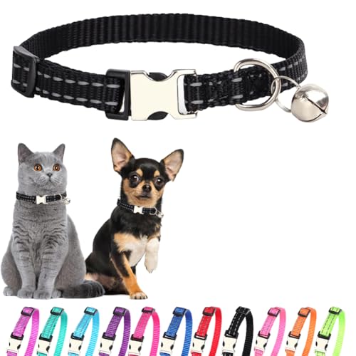 Glöckchenhalsband für kleine Hunde, reflektierendes Katzenhalsband, Nylon, langlebige Metallschnalle, für Welpen, Welpen, Welpen, Halsbänder für Welpen, XS, kleine Hunde und Kätzchen Glöckchenhalsband für kleine Hunde, reflektierendes Katzenhalsband, Nylon, langlebige Metallschnalle, für Welpen, Welpen, Welpen, Halsbänder für Welpen, XS, kleine Hunde und Kätzchen von PSPORT