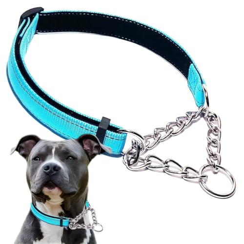 Hellblaues Martingale-Halsband für Hunde, reflektierendes Nylon-Hundehalsband, verstellbares Edelstahl-Kettenhalsband, weiblich, kein Ziehen, Haustier-Trainingshalsband für kleine, mittelgroße und Hellblaues Martingale-Halsband für Hunde, reflektierendes Nylon-Hundehalsband, verstellbares Edelstahl-Kettenhalsband, weiblich, kein Ziehen, Haustier-Trainingshalsband für kleine, mittelgroße und von PSPORT