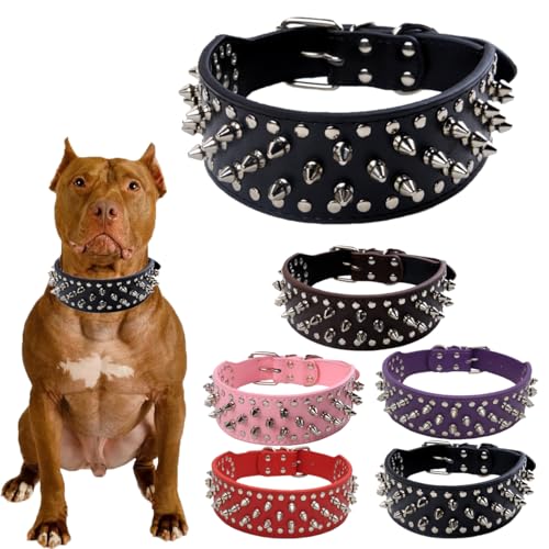 Hundehalsband, Nieten, PU-Leder, langlebig, verstellbar, für mittelgroße und große Haustiere, Pitbull Bully, Rottweiler, Schwarz, Größe M von PSPORT