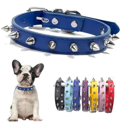 Hundehalsband für kleine Hunde, PU-Leder, Nieten, Spikes, Welpenhalsband, Nieten, Kätzchen, Katzenhalsband, verstellbare Schnalle, für XS, extra kleine, mittelgroße Rassen, Haustiere wie Chihuahua Hundehalsband für kleine Hunde, PU-Leder, Nieten, Spikes, Welpenhalsband, Nieten, Kätzchen, Katzenhalsband, verstellbare Schnalle, für XS, extra kleine, mittelgroße Rassen, Haustiere wie Chihuahua von PSPORT