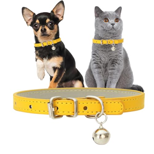 Hundehalsband mit Glöckchen, PU-Leder, für Jungen, Kätzchen, verstellbar, für XXS, XS, S, M, für männliche Hunde, kleine Katzen, kleine Welpen, Größe XXS Hundehalsband mit Glöckchen, PU-Leder, für Jungen, Kätzchen, verstellbar, für XXS, XS, S, M, für männliche Hunde, kleine Katzen, kleine Welpen, Größe XXS von PSPORT