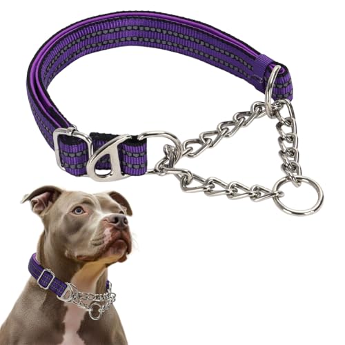 Martingale-Halsband für Hunde, Größe XL, reflektierend, Nylon, verstellbar, strapazierfähig, Martingal-Hundehalsband für mittelgroße und große Hunde, Violett Martingale-Halsband für Hunde, Größe XL, reflektierend, Nylon, verstellbar, strapazierfähig, Martingal-Hundehalsband für mittelgroße und große Hunde, Violett von PSPORT