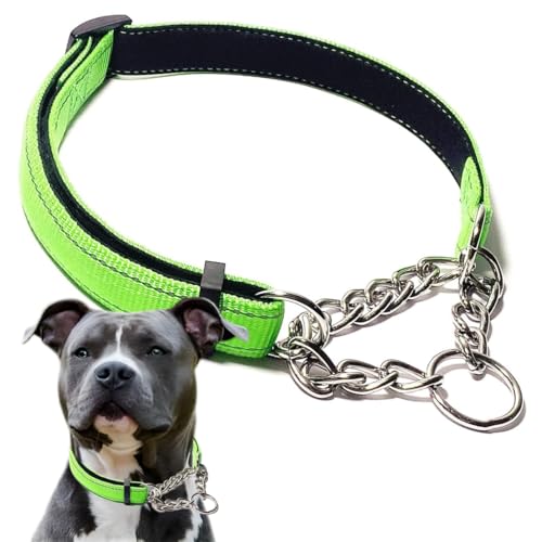 Martingale Halsband für Hunde, reflektierendes Nylon, weich gepolstert, kein Ziehen, Trainingshalsbänder, verstellbar, Edelstahl-Kettenhalsband für kleine, mittelgroße und große Hunde, Grün, Größe XL Martingale Halsband für Hunde, reflektierendes Nylon, weich gepolstert, kein Ziehen, Trainingshalsbänder, verstellbar, Edelstahl-Kettenhalsband für kleine, mittelgroße und große Hunde, Grün, Größe XL von PSPORT