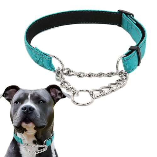 Martingale Halsband für Hunde, reflektierendes Nylon, weich gepolstert, kein Ziehen, Trainingshalsband, verstellbar, Edelstahl-Kette, Halsband für kleine, mittelgroße und große Hunde, Blaugrün, Größe Martingale Halsband für Hunde, reflektierendes Nylon, weich gepolstert, kein Ziehen, Trainingshalsband, verstellbar, Edelstahl-Kette, Halsband für kleine, mittelgroße und große Hunde, Blaugrün, Größe von PSPORT