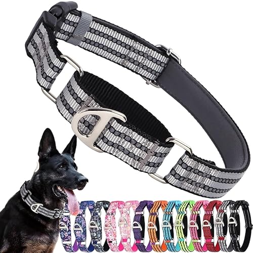 Martingale Halsband für Hunde, reflektierendes Nylon-Hundehalsband mit Schnellverschluss-Schnalle, männlicher Junge, kein Ziehen, Haustierhalsband, verstellbares Training, Walking, Jagd, Grau, M Martingale Halsband für Hunde, reflektierendes Nylon-Hundehalsband mit Schnellverschluss-Schnalle, männlicher Junge, kein Ziehen, Haustierhalsband, verstellbares Training, Walking, Jagd, Grau, M von PSPORT