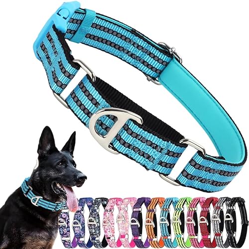Martingale Halsband für Hunde, reflektierendes Nylon-Hundehalsband mit Schnellverschluss-Schnalle, männlicher Junge, kein Ziehen, Haustierhalsband, verstellbares Training, Walking, Jagd, Hellblau, M Martingale Halsband für Hunde, reflektierendes Nylon-Hundehalsband mit Schnellverschluss-Schnalle, männlicher Junge, kein Ziehen, Haustierhalsband, verstellbares Training, Walking, Jagd, Hellblau, M von PSPORT
