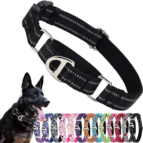 Martingale Halsband für Hunde, reflektierendes Nylon-Hundehalsband mit Schnellverschluss-Schnalle, männlicher Junge, kein Ziehen, Haustierhalsband, verstellbares Training, Walking, Jagd, Schwarz, M Martingale Halsband für Hunde, reflektierendes Nylon-Hundehalsband mit Schnellverschluss-Schnalle, männlicher Junge, kein Ziehen, Haustierhalsband, verstellbares Training, Walking, Jagd, Schwarz, M von PSPORT