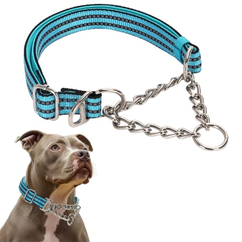 Martingale-Halsband für mittelgroße Hunde, reflektierendes Nylon, ausbruchsicher, kein Ziehen, Hundehalsband mit Edelstahlkette für kleine, mittelgroße und große Hunde Martingale-Halsband für mittelgroße Hunde, reflektierendes Nylon, ausbruchsicher, kein Ziehen, Hundehalsband mit Edelstahlkette für kleine, mittelgroße und große Hunde von PSPORT