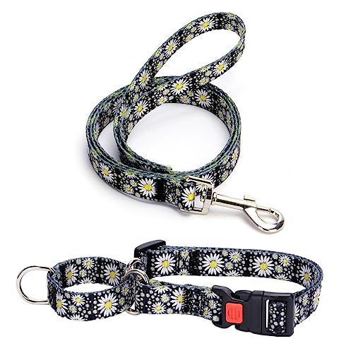 Martingale Hundehalsband, kein Ziehen, strapazierfähig, bequem, langlebig, Haustierhalsband mit Leine, verhindert Herausrutschen, Trainingshalsbänder für kleine, mittelgroße und große Hunde, von PSPORT