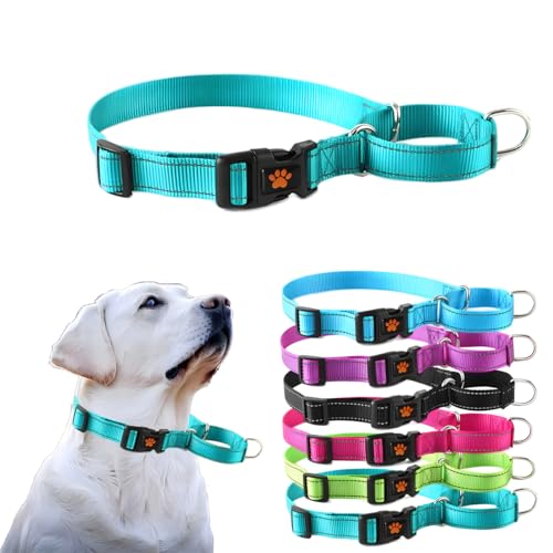 Martingale Hundehalsband-Set, mit Schnellverschluss-Schnalle, reflektierend, für kleine, mittelgroße und große Hunde, Cyan, M von PSPORT