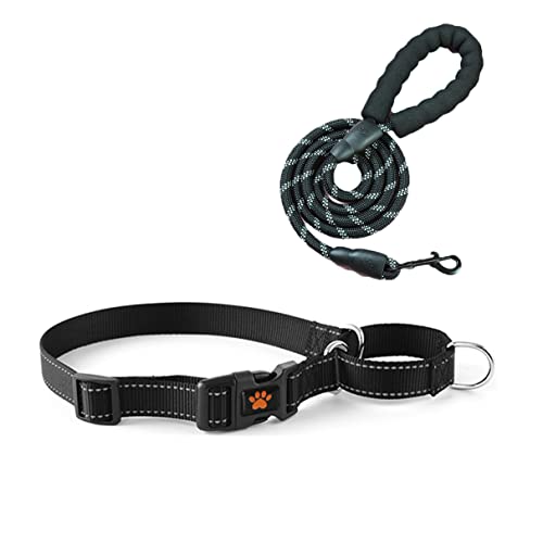 Martingale Hundehalsband-Set, mit Schnellverschluss-Schnalle, reflektierend, für kleine, mittelgroße und große Hunde, schwarz, L Martingal-Halsband + Leine von PSPORT