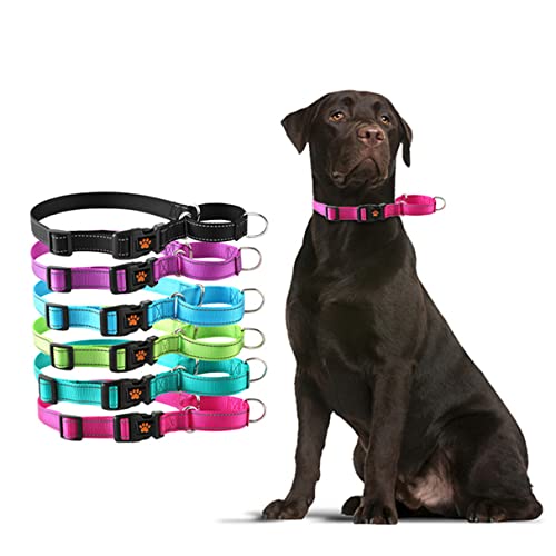 Martingale Hundehalsband-Set, mit Schnellverschluss-Schnalle, reflektierend, für kleine, mittelgroße und große Hunde, schwarz, M Martingal-Halsband + Leine von PSPORT