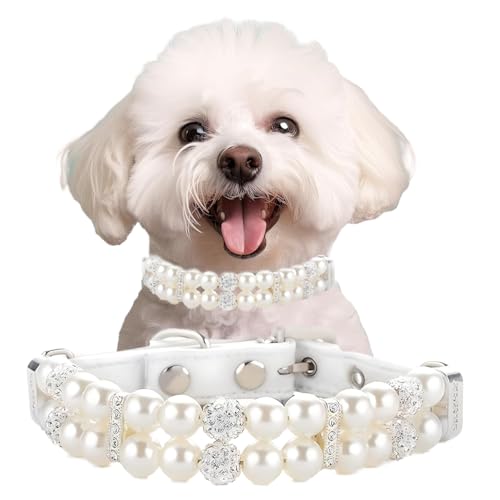 Pearl Hundehalsband für kleine Hunde, Perlen-Katzenhalsband, PU-Leder, Welpen-Halskette mit Kristall-Strass-Diamant für Mädchen, Kätzchen, XXS, S, M, Hochzeit und Geburtstag, XS, Weiß Pearl Hundehalsband für kleine Hunde, Perlen-Katzenhalsband, PU-Leder, Welpen-Halskette mit Kristall-Strass-Diamant für Mädchen, Kätzchen, XXS, S, M, Hochzeit und Geburtstag, XS, Weiß von PSPORT