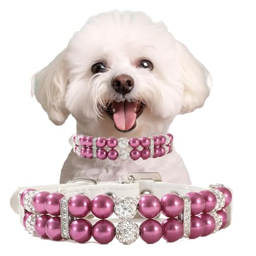 Purple Pearl Katzenhalsband für kleine Hunde, Perlen-Katzenhalsband, PU-Leder, Welpen-Halskette mit Kristallstrass, verstellbar, für Mädchen, Kätzchen, XXS, S, M, Hündinnen, Hochzeit und Geburtstag Purple Pearl Katzenhalsband für kleine Hunde, Perlen-Katzenhalsband, PU-Leder, Welpen-Halskette mit Kristallstrass, verstellbar, für Mädchen, Kätzchen, XXS, S, M, Hündinnen, Hochzeit und Geburtstag von PSPORT