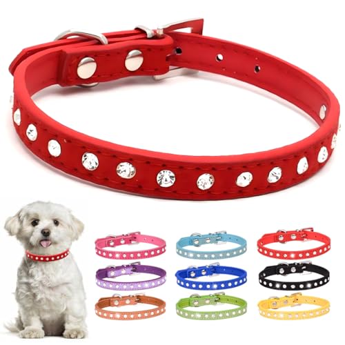 Red Diamond Hundehalsband für kleine Hunde, Strasssteine, Welpenhalsband, Mädchen, weiblich, Kristall, Glitzer, glitzernd, Katzenhalsband für Kätzchen, XXS, XS, kleine Rassen, Größe XXS Red Diamond Hundehalsband für kleine Hunde, Strasssteine, Welpenhalsband, Mädchen, weiblich, Kristall, Glitzer, glitzernd, Katzenhalsband für Kätzchen, XXS, XS, kleine Rassen, Größe XXS von PSPORT